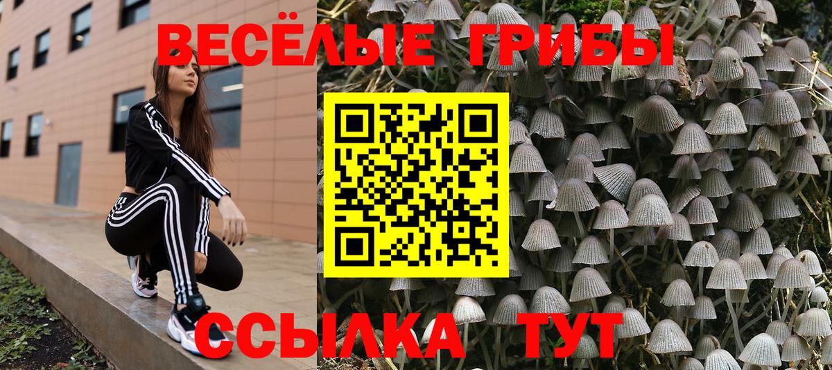 Галлюциногенные грибы GOLDEN TEACHER Орехово-Зуево
